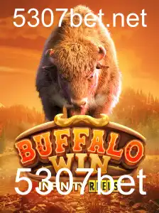 Explorando BuffaloWin: O Jogo Popular no 5307bet